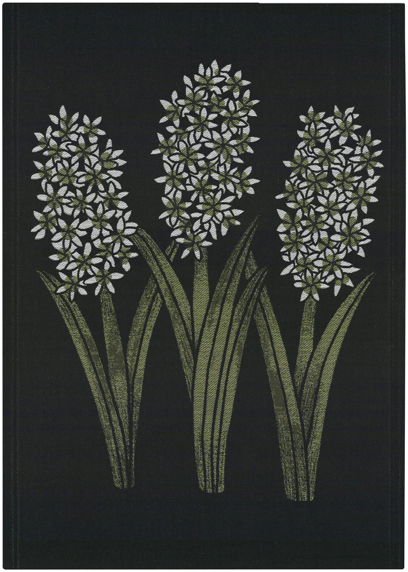HYACINT ORIENTALIS