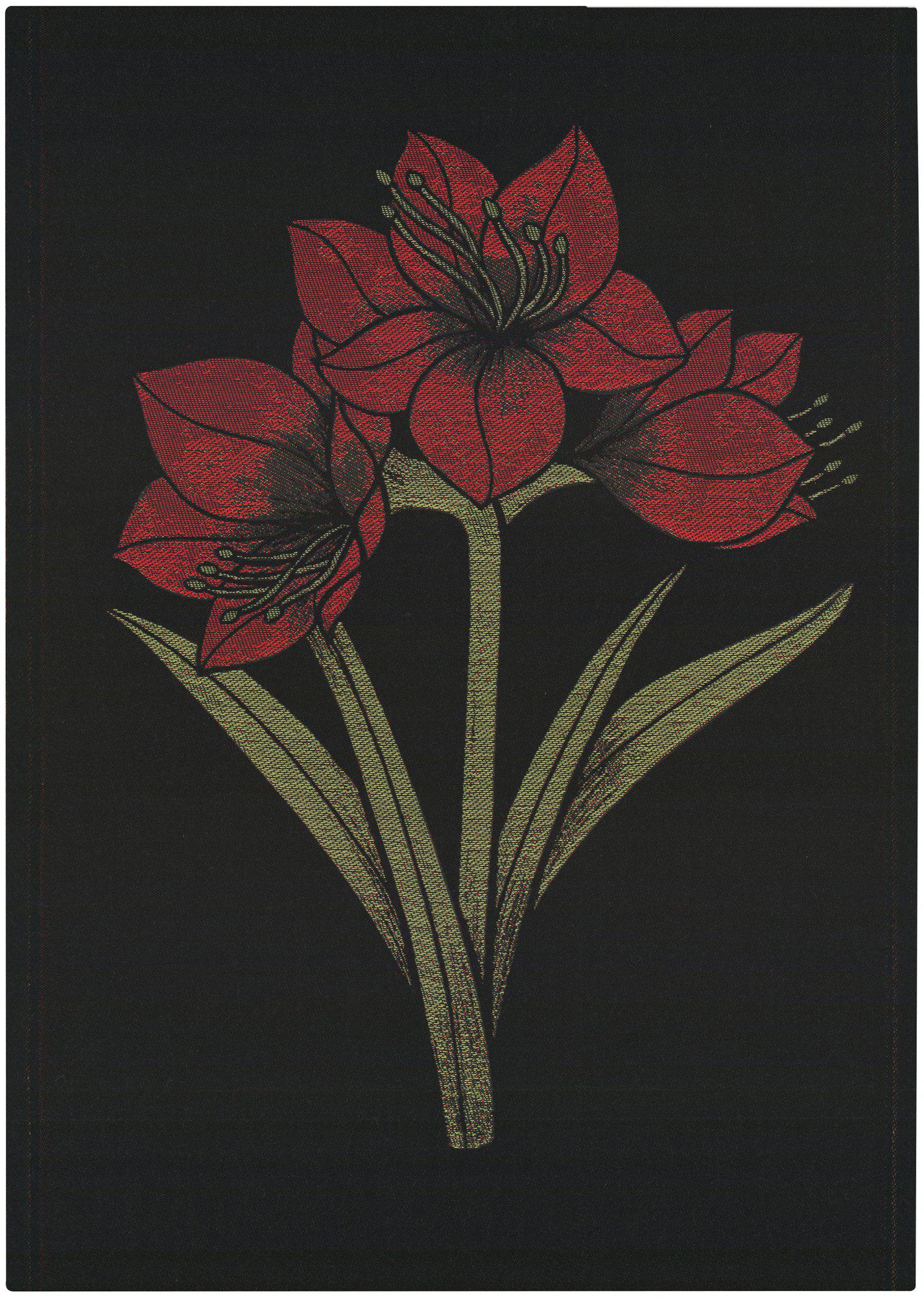 KAPAMARYLLIS